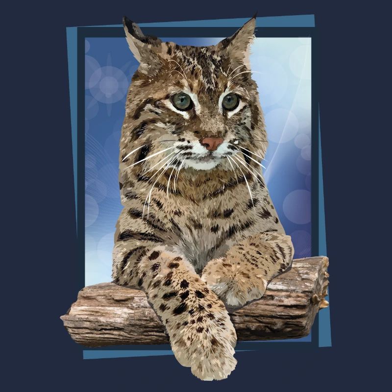 Lynx