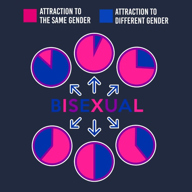 Bisexual Bi Pride Flag Pie Chart