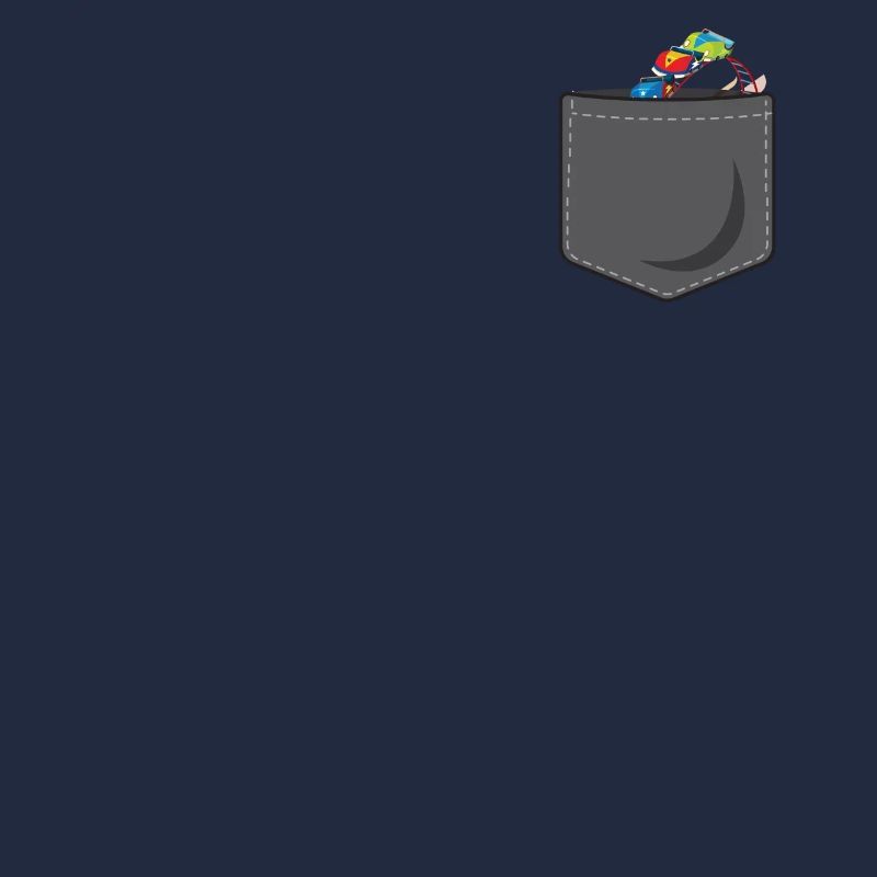 Roller Coaster Pocket