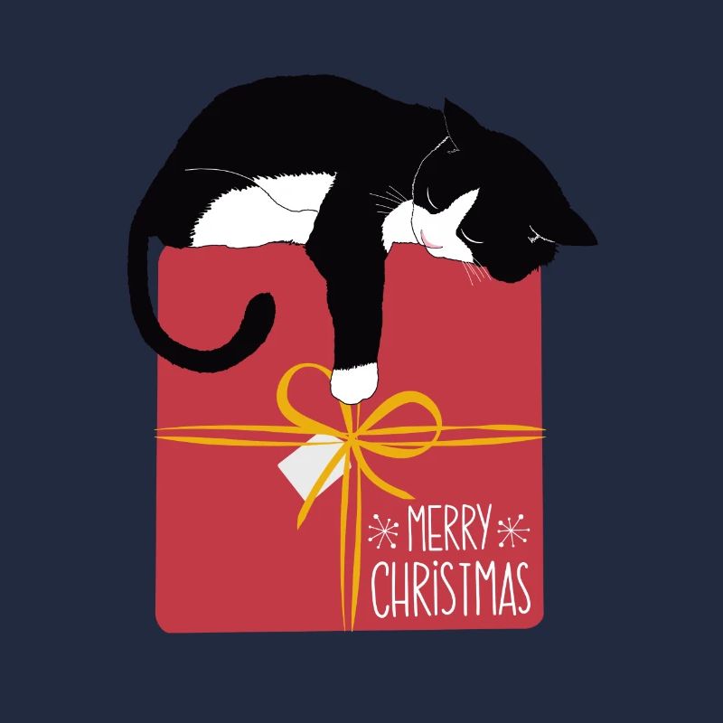 Pfotschaprès Noël - chat et cadeau