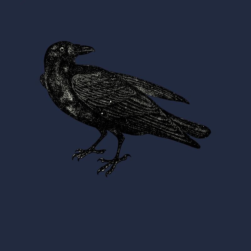 Crow raven lovers distressed