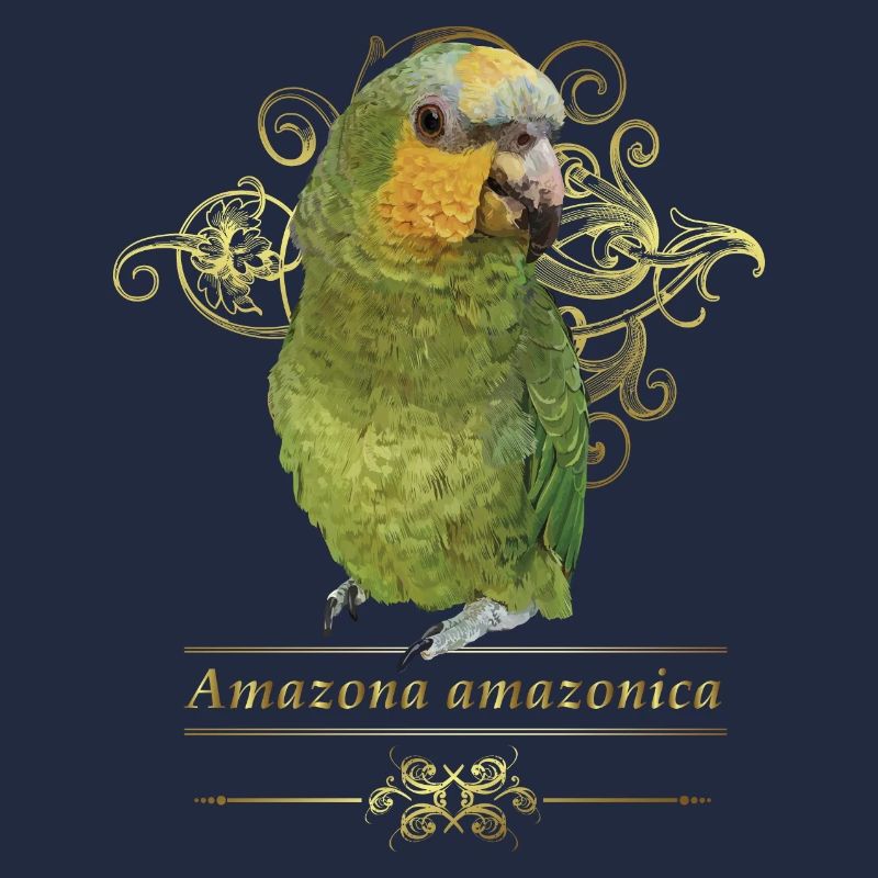 L’Amazone à ailes oranges
