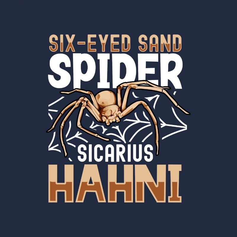 Araignée de sable à six yeux