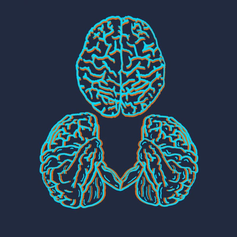 Cerveau