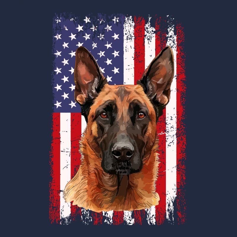 Belgian Malinois