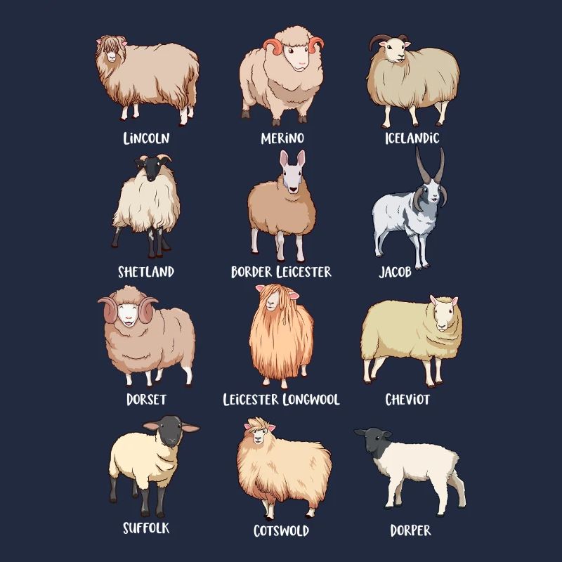 Assorted Kawaii Sheep