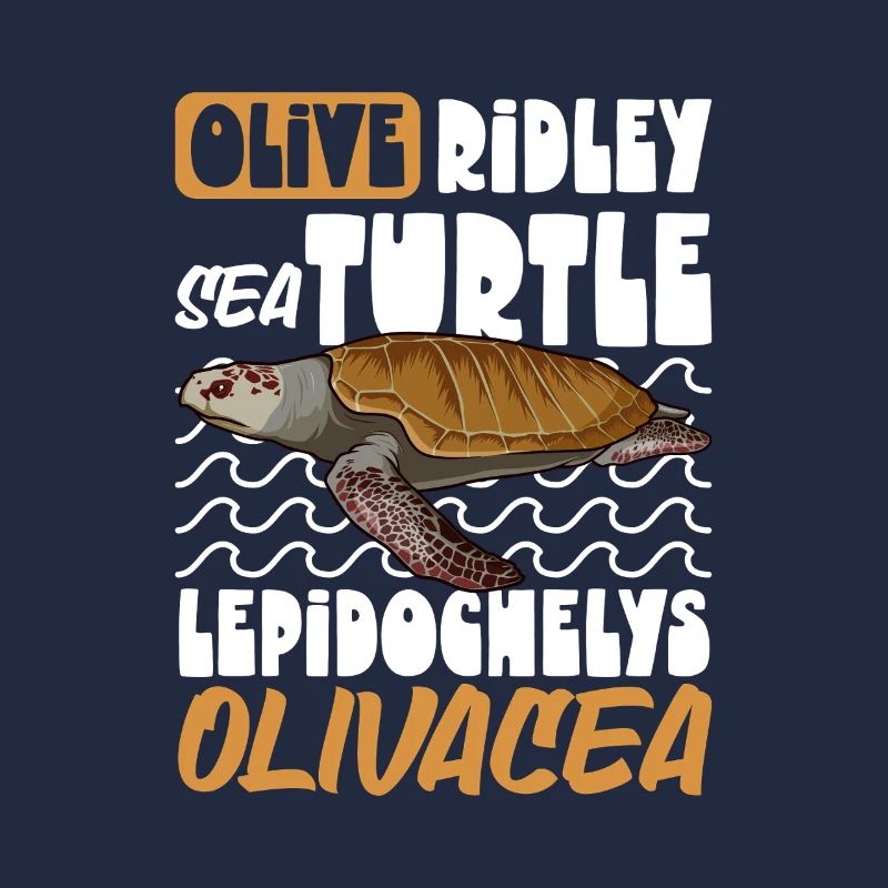 Pacific Ridley Turtle