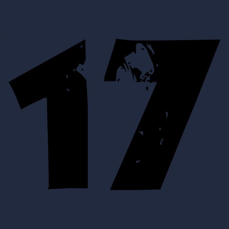17 Zahl