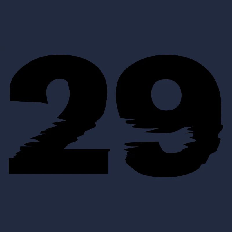 29 Zahl