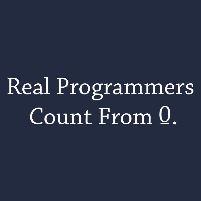 Programmer Coder Software Developer