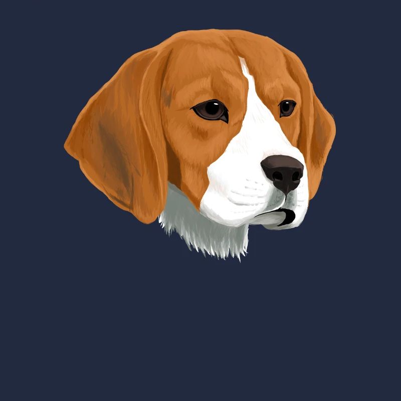 Beagle Hund