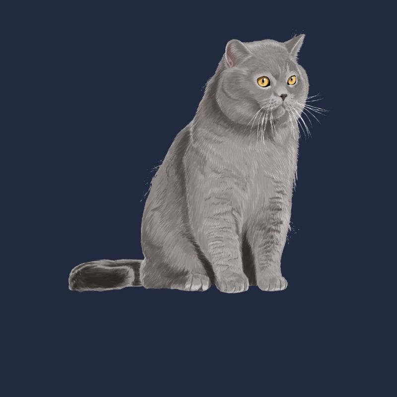 Britisch Kurzhaar Katze