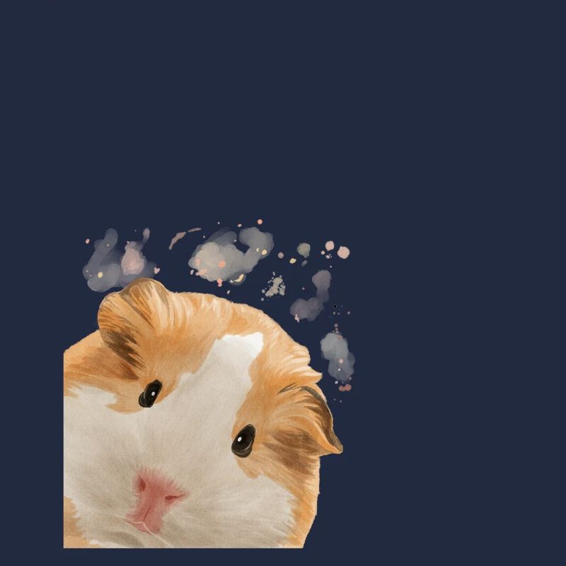 Cochon d’Inde curieux