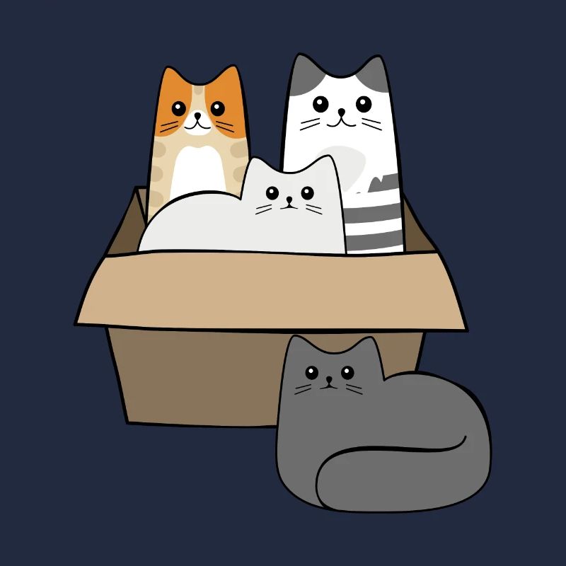 Chats dans une boîte