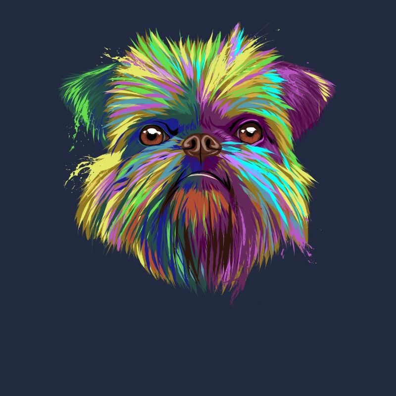 Brussels Griffon Hund