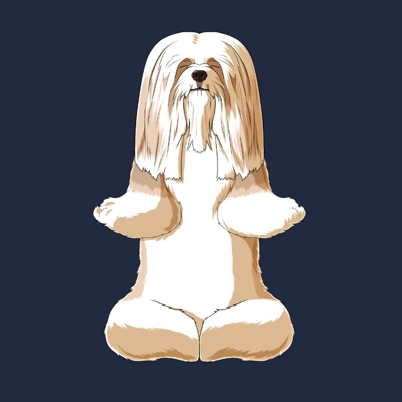 Meditierender Lhasa Apso Hund