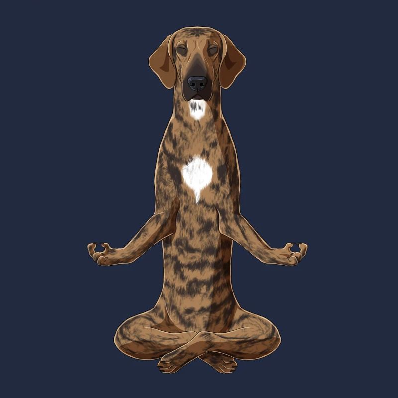 Chien Méditant Plott Hound