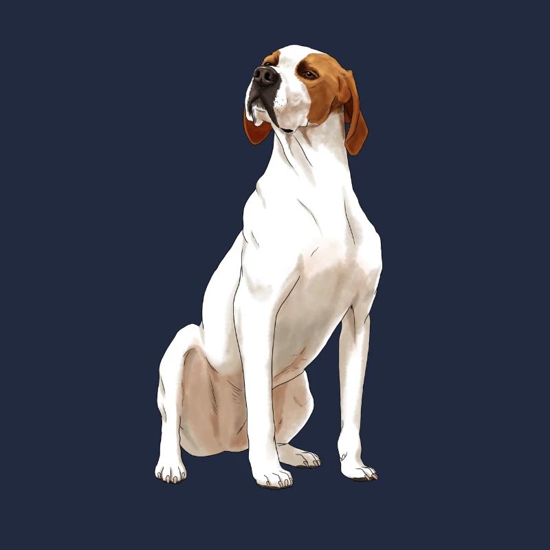 Sitzender English Pointer Hund