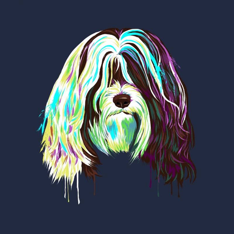 Splash Tibet Terrier chien