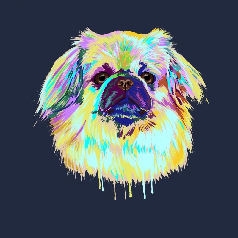 Splash TibetSpaniel Hund