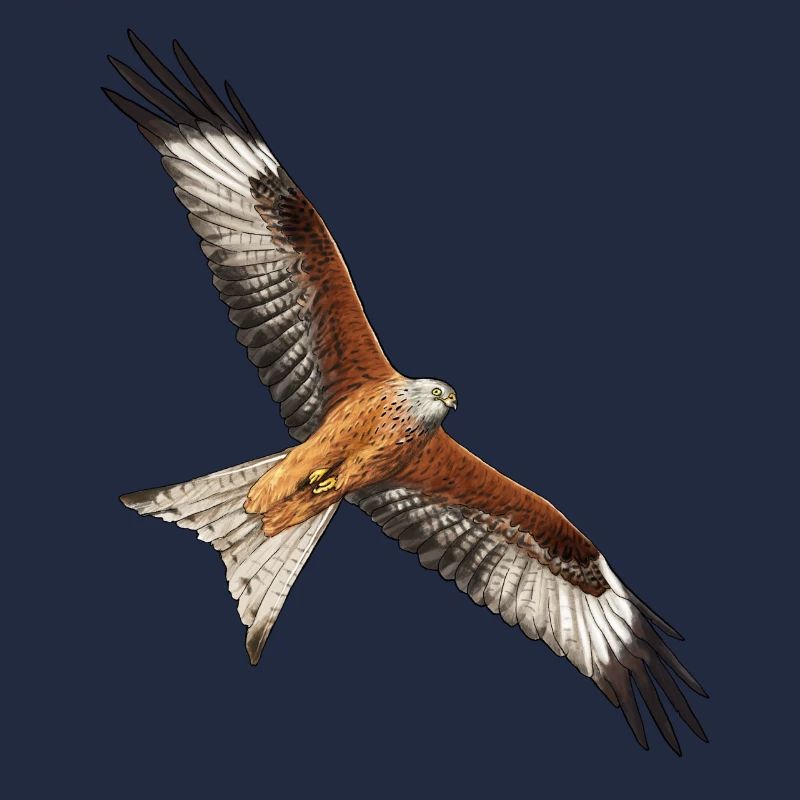 Rotmilan fliegend