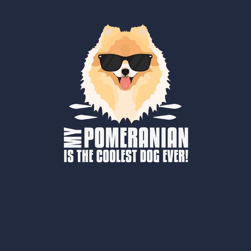 Mon spitz nain est le plus cool