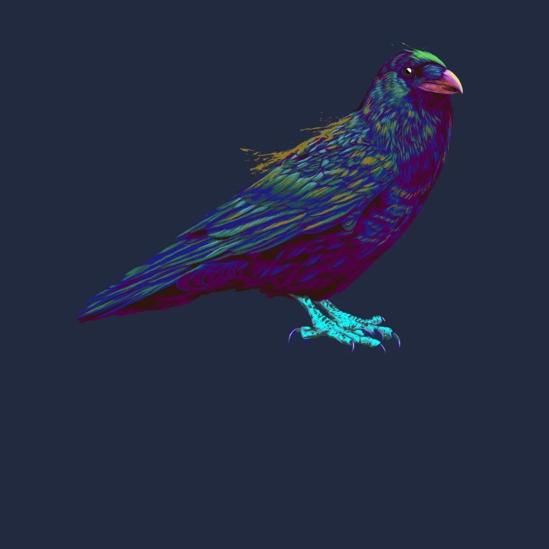 Splash Raven Crow