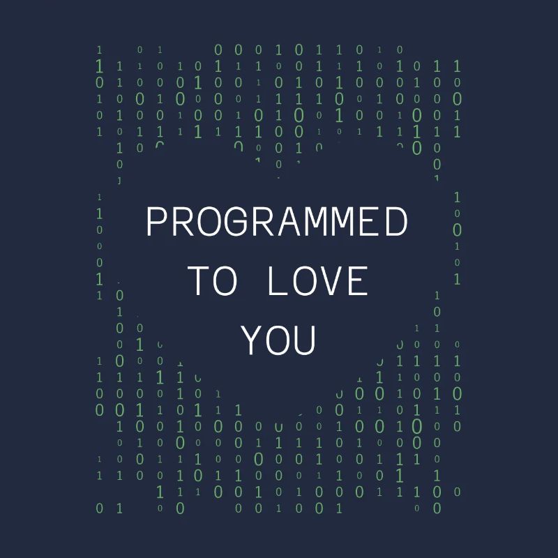 Developer Coder Programmer