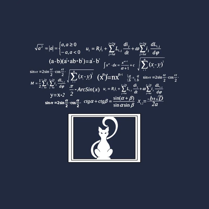 Physics Phyker Cat Quantum Physics