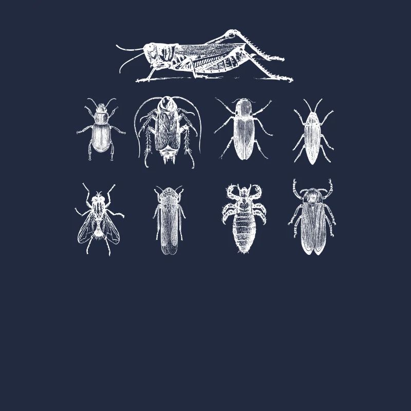 Bugs Insects