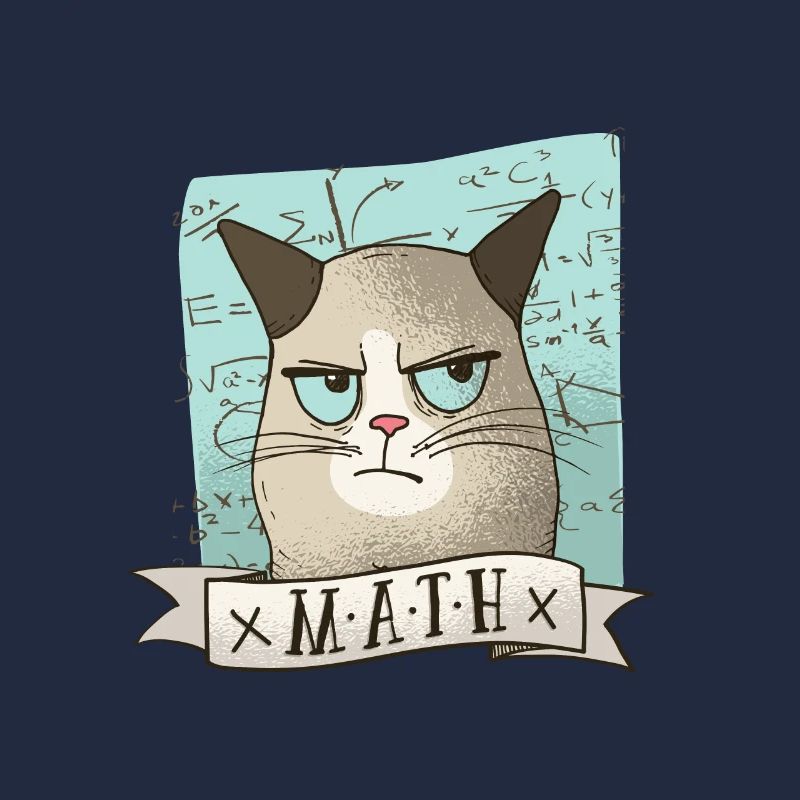Mathe Nachhilfe Katze Lehrer Tshirt Geschenk