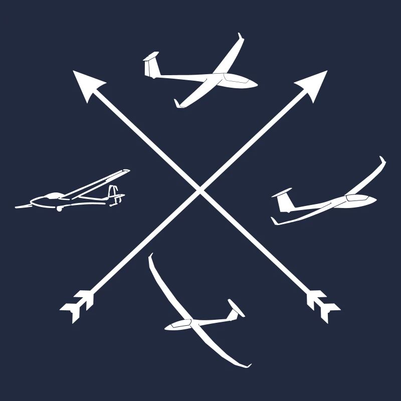 Compass Glider Glider Pilot Glider