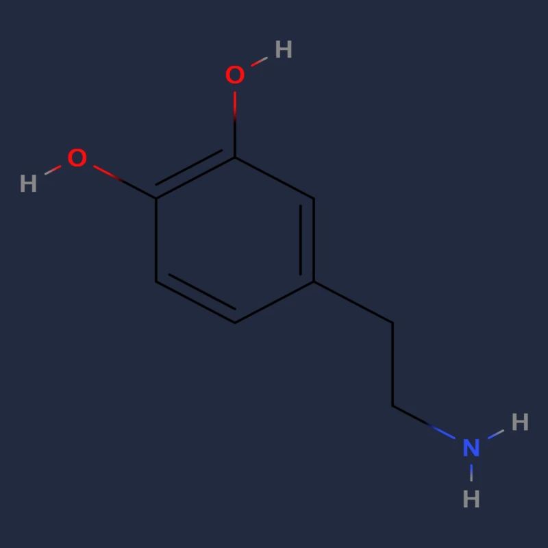 Dopaminmolekül - Farbige Strukturformel