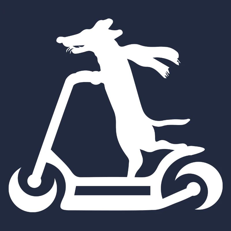 E-Scooter Roller