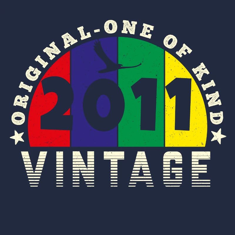 Vintage 2011 Retro - Bursdag