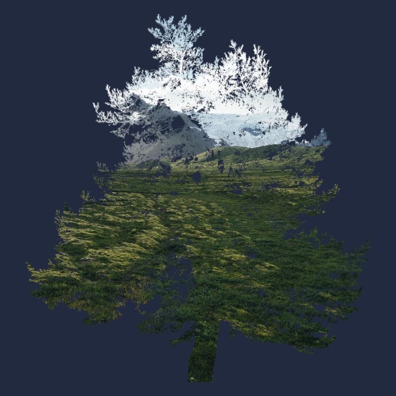 tree landscape