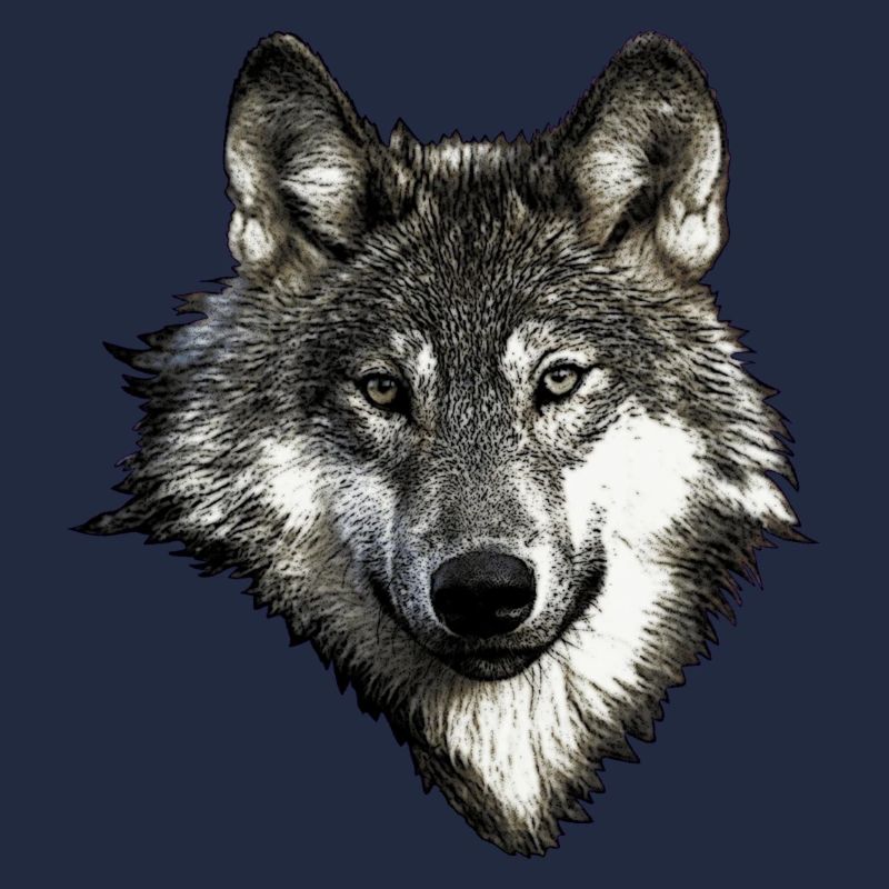 Wolfsgesicht
