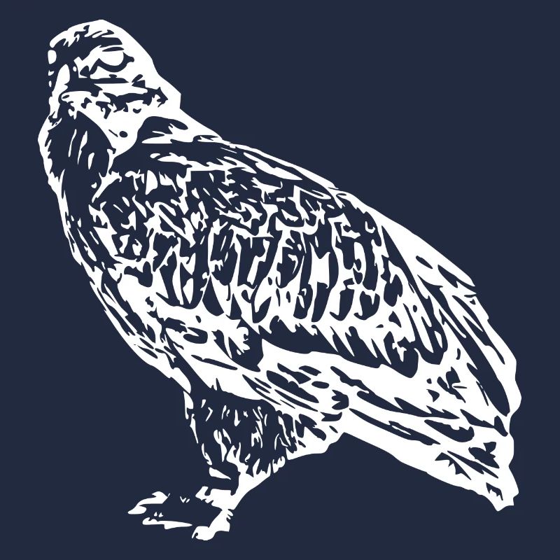 Faucons Oiseaux Oiseaux