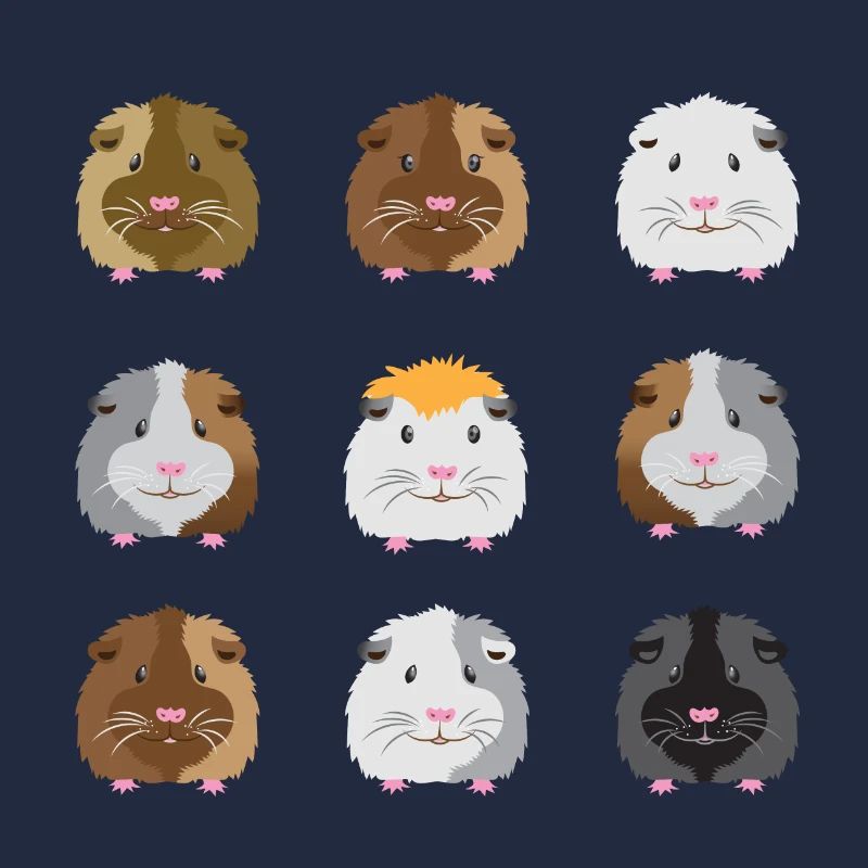 Neuf visages de cobayes