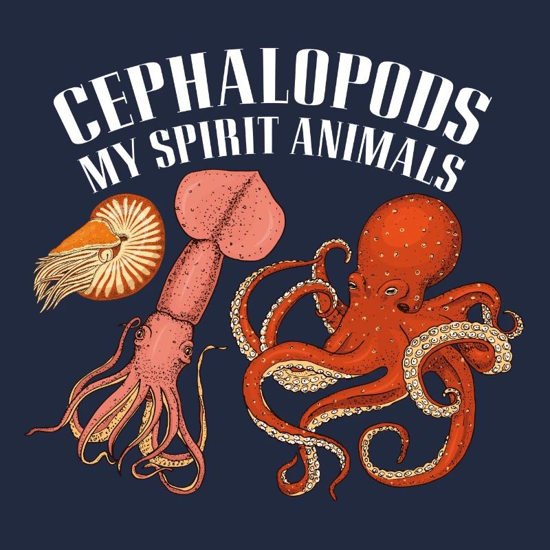 Cephalopod octopus octopus squid