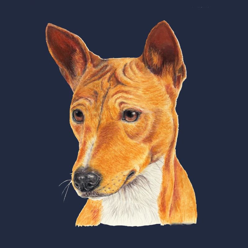 Basenji