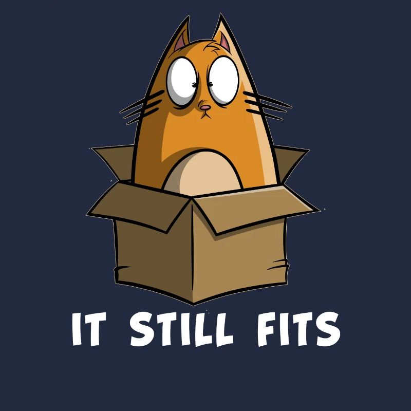 It still fits - Dicke Katze im karton