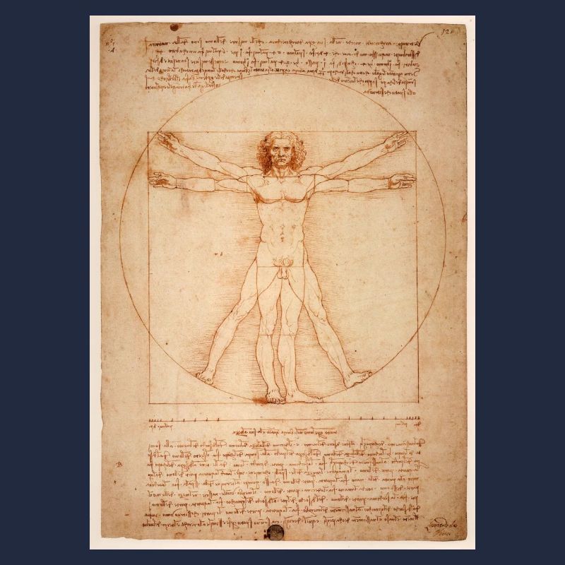 leonardo da vinci human