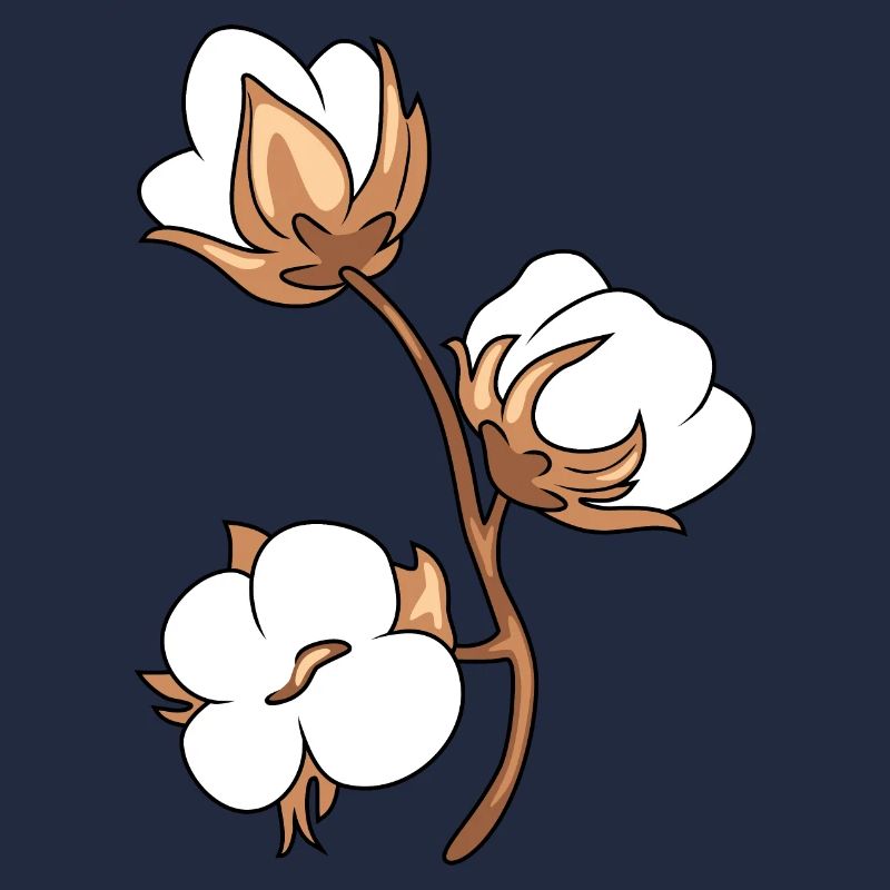 Coton fleuri