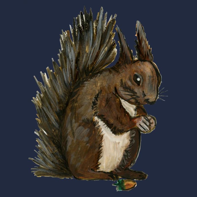 écureuil squirrel eichhörnchen esquilo noisette