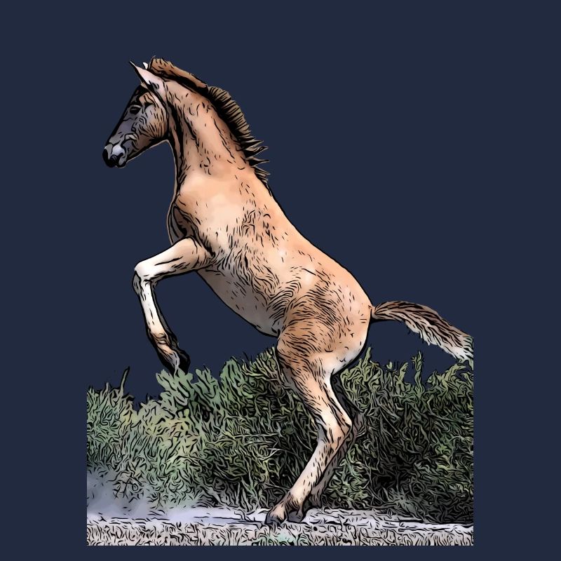 Junges Pferd