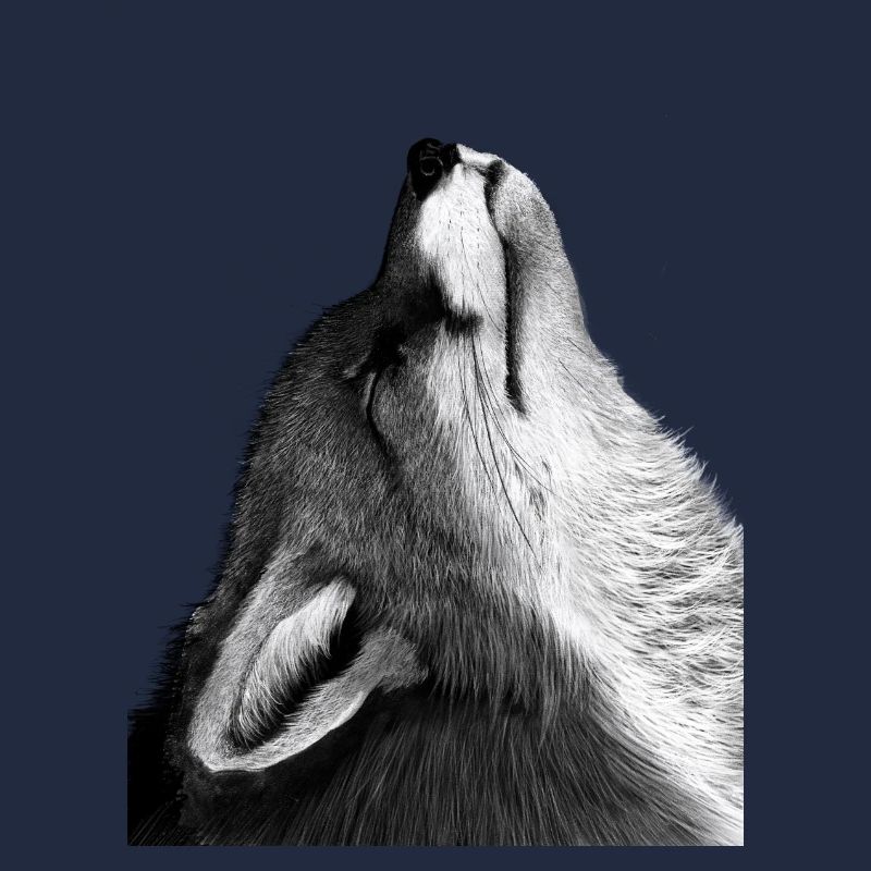 Renard