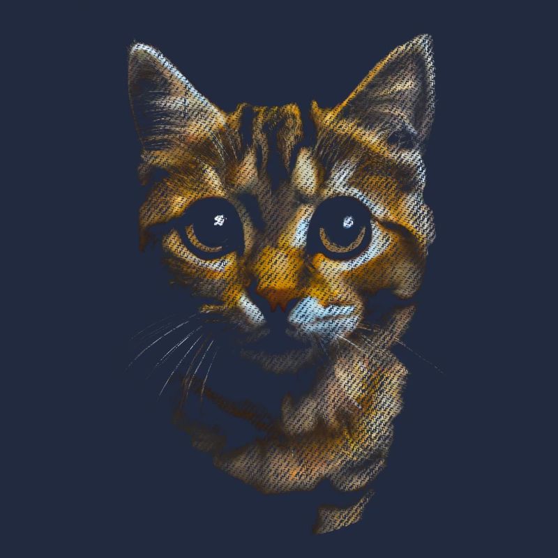 süße Katze getigert getiegert
