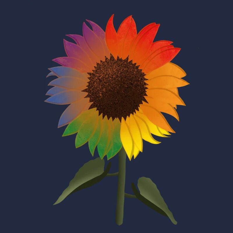 Pride Sonnenblume