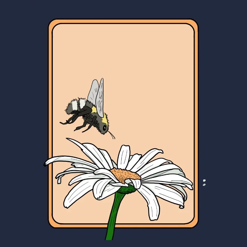 Marguerites et bourdons